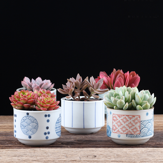 日式多肉植物花盆花器