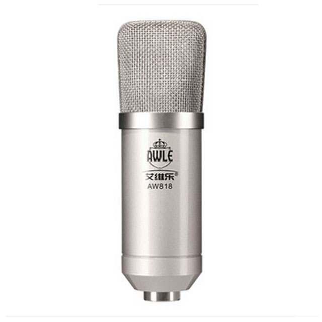 艾维乐 电容麦克风