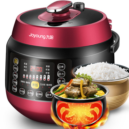 九阳双胆家用电饭煲