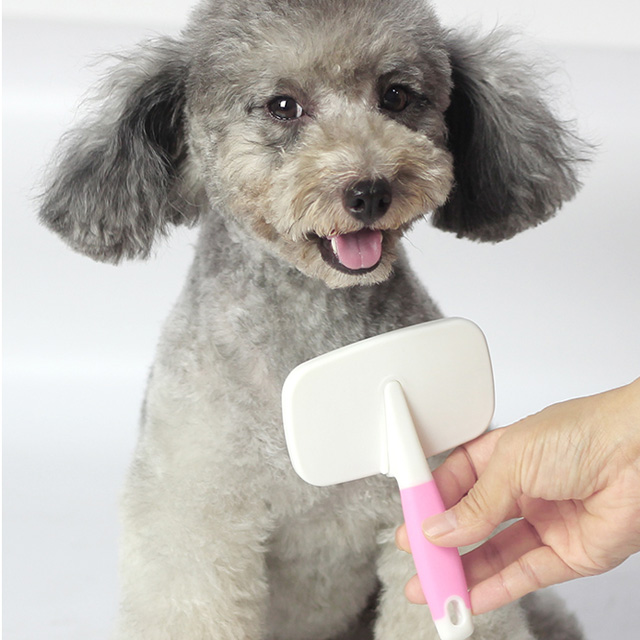 狗狗梳子猫咪狗狗毛刷