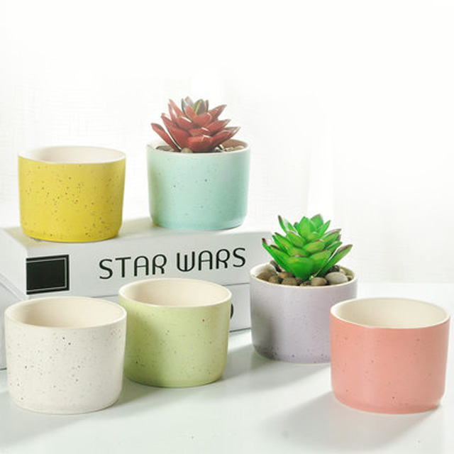 室内小绿植陶瓷花盆