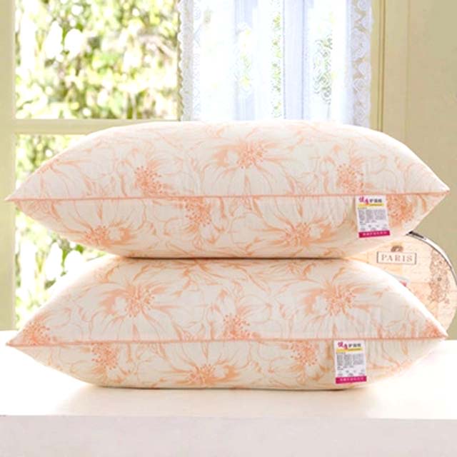 秋季保健记忆枕芯