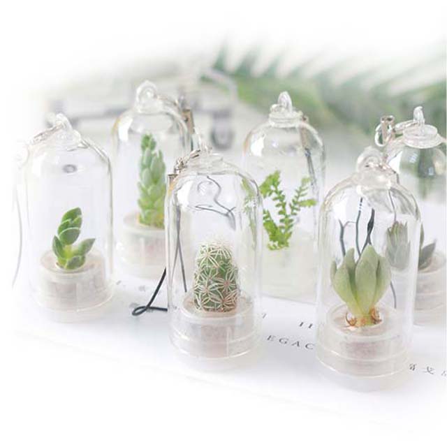 新款创意试管绿色植物