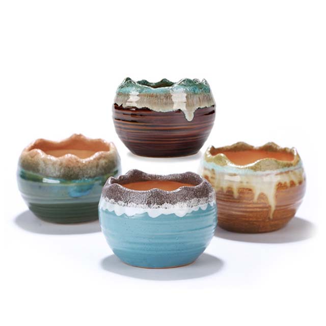 创意室内绿萝多肉植物花盆