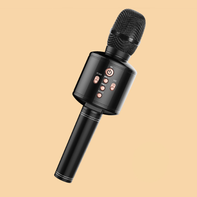 EARISE/雅兰仕全民K歌神器