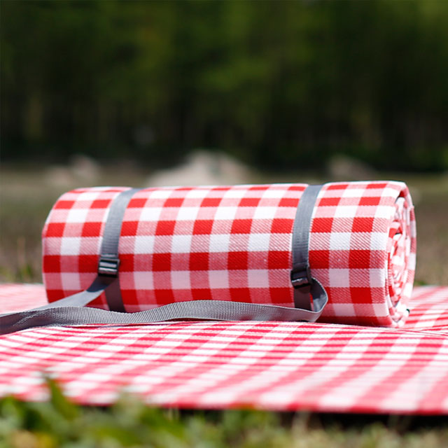 户外野餐垫防潮垫
