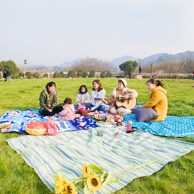 野餐垫防潮垫户外垫子