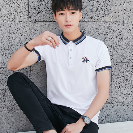 夏季男士纯棉保罗polo衫