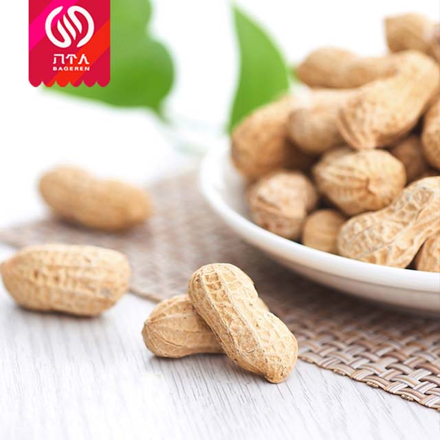 正阳吊炉花生奶香味零食