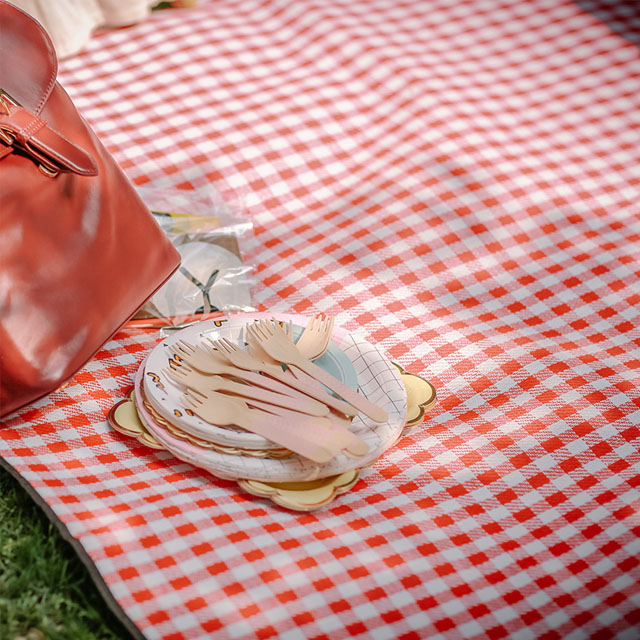 户外防潮野餐垫地垫