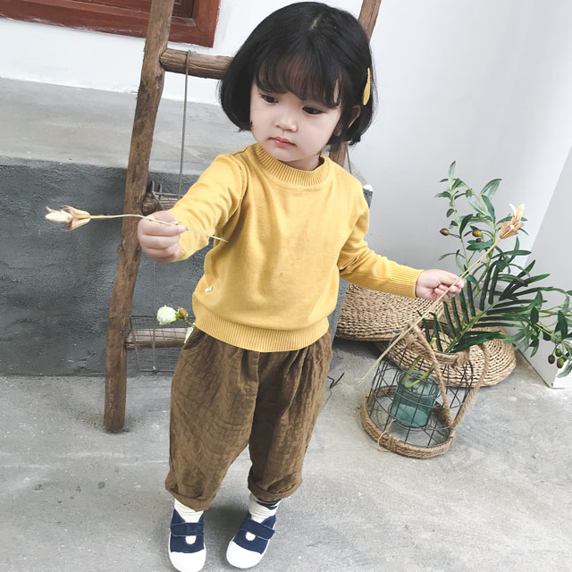 2018新款秋装宝宝针织衫