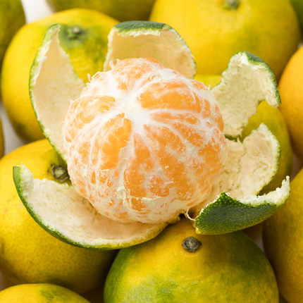 广西皇帝柑贡柑橘10斤