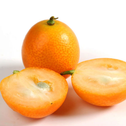 广西特产小金桔5斤