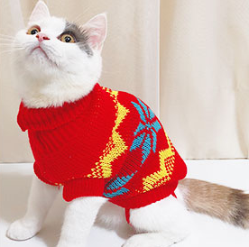 猫咪衣服毛衣