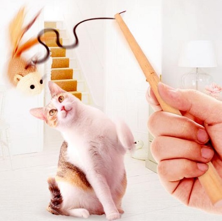 猫玩具逗猫棒逗猫杆