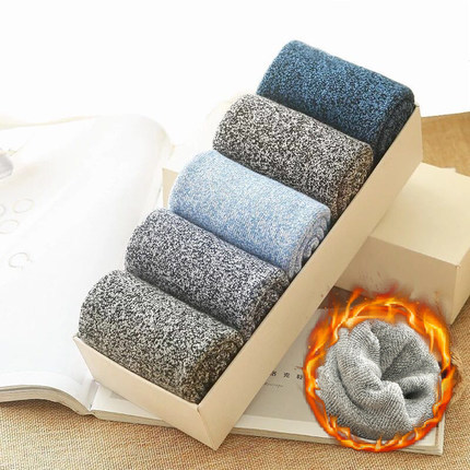 10双装加厚纯棉男袜