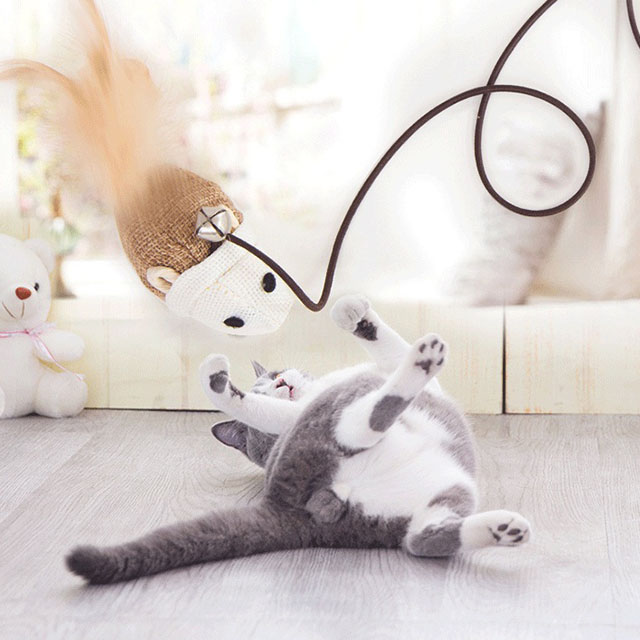 猫咪玩具逗猫棒逗猫幼猫鱼玩具