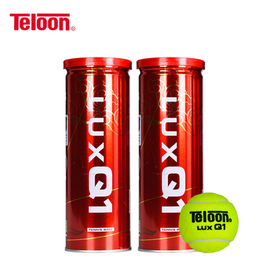 天龙耐打高弹力训练网球4个罐装