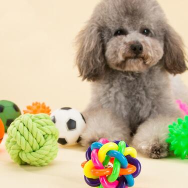 宠物小狗狗玩具球