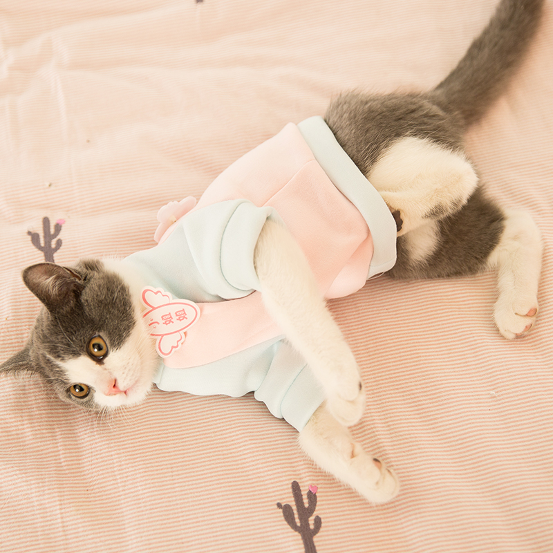 猫咪衣服保暖小猫猫卫衣