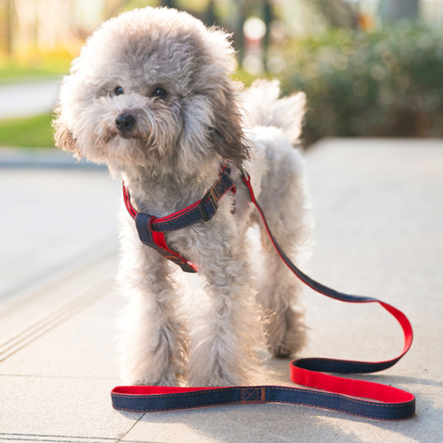 狗狗牵引绳狗链