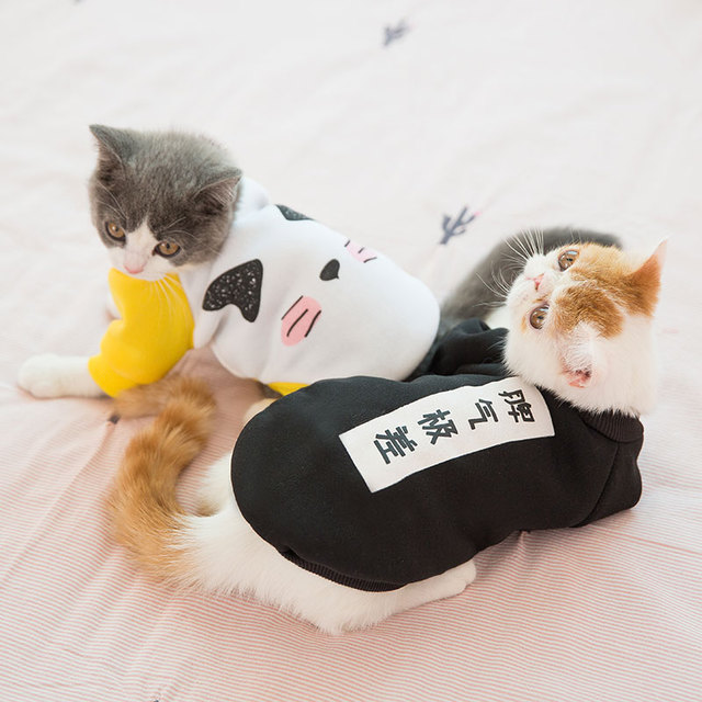 网红猫咪衣服
