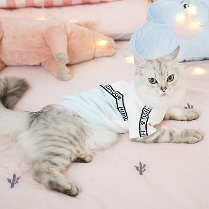 超火公主猫咪衣服