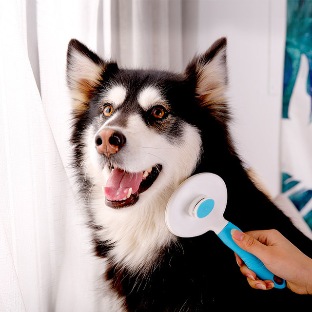 狗毛梳子梳毛神器