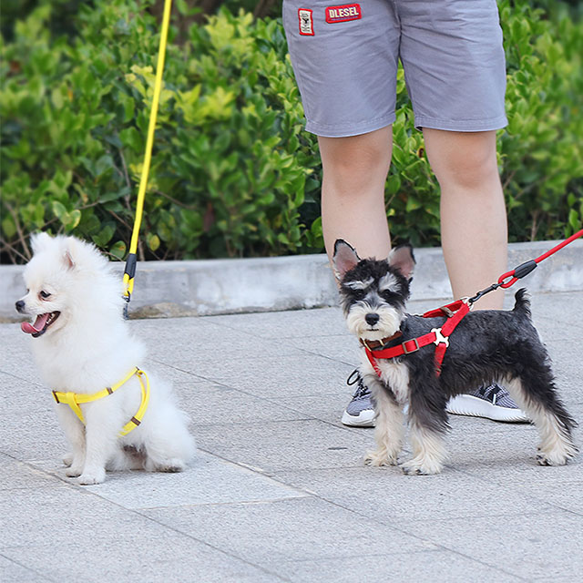 狗狗牵引绳狗链子