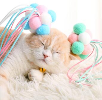 仙女逗猫棒猫咪玩具