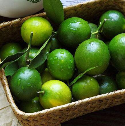 当季海南小金桔新鲜一斤