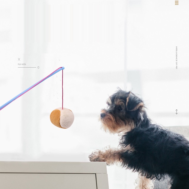 日本多格漫逗狗棒长杆逗犬棒