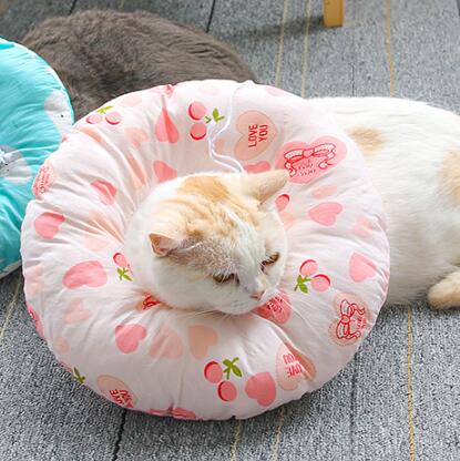 伊丽莎白圈猫咪项圈