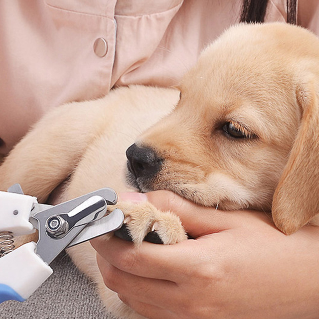 宠物狗狗指甲剪磨甲器