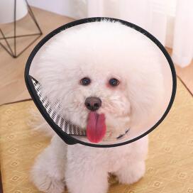 伊丽莎白圈狗狗项圈脖圈