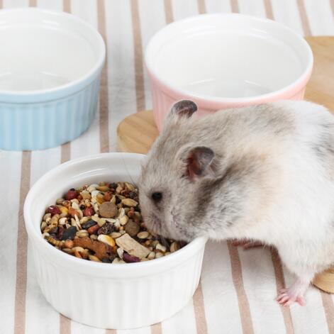 CARNO卡诺仓鼠陶瓷食盆粮碗