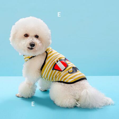 狗狗夏季t恤吊带裙