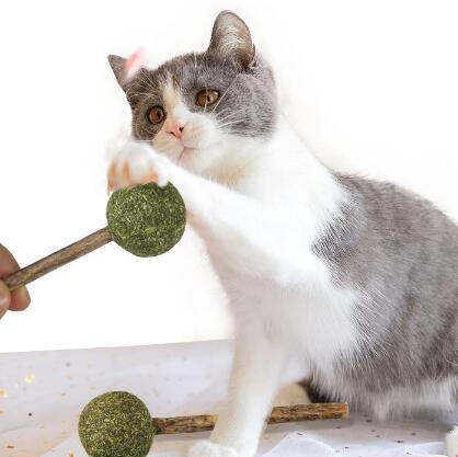 猫薄荷球逗猫棒