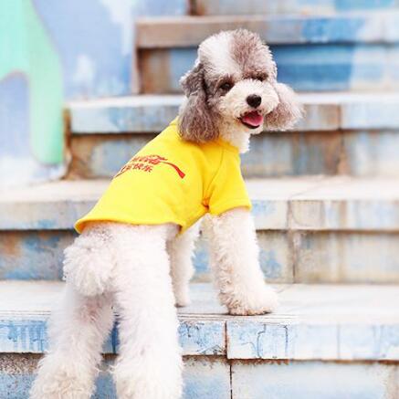 宠物狗狗衣服秋装