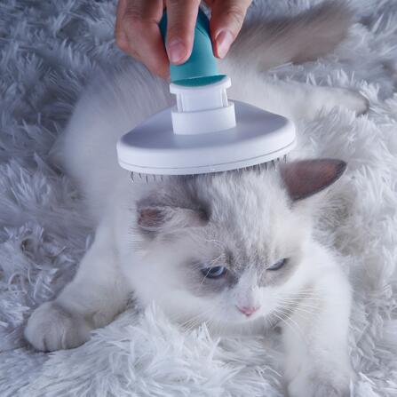 猫咪梳子狗毛梳