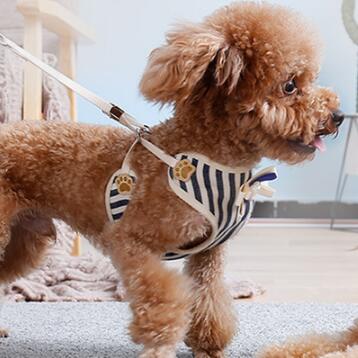 中型小型犬背心式牵引绳